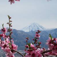 ふるさとはやっぱりいいもんだ。山梨の旅。