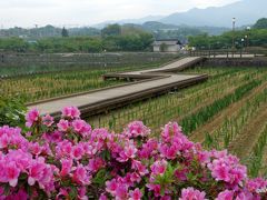 東讃のミュージアム巡り