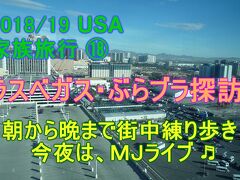 2018/19 USA 家族旅行 19 ラスベガス・ぶらブラ探訪 朝から晩まで 街中練り歩き 今夜は,ＭＪライブ (^^♪