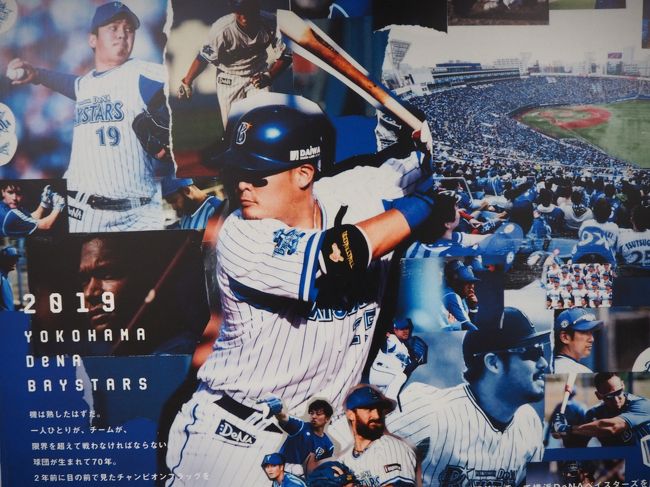 今シーズン初の横浜スタジアム、残念ながら負け試合でしたが天気もよく観戦日和でした。<br />ついでに関内駅とその周辺、横浜公園のフラワーフェスティバルも。<br /><br />(ホッピーパパ記)