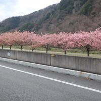 エクシブ伊豆へ