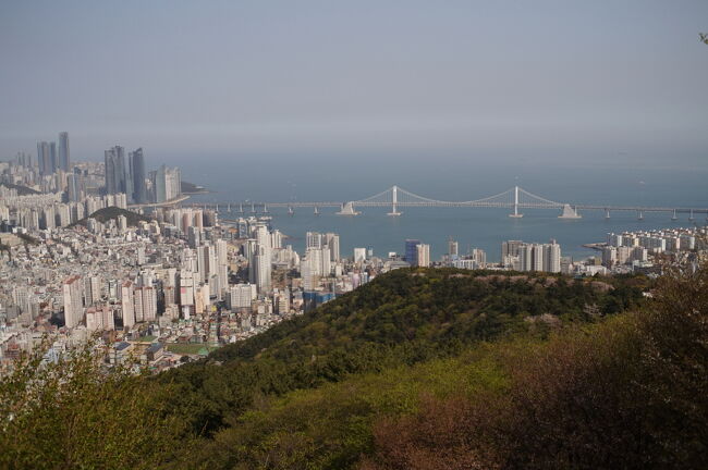 釜山(プサン)南浦洞に3泊して観光旅行。<br />韓国は始めてのシニア夫婦です。<br /><br />全行程は以下です。<br />4/6(土)成田 10:50 発 JAL957便、フライト2 時間15 分、金海 13:05 着(時差0)山の公園で桜見物と市街展望、松島スカイウォーク、Aventree Hotel 3泊<br />4/7(日)龍宮寺、梵魚寺、チャガルチ市場、釜山タワーで夜景<br />4/8(月)慶州観光ツアー(石窟庵、仏国寺、古墳など歴史遺跡、良洞村)<br />4/9(火)金海 14:10 発 JAL958便、フライト2 時間5 分、成田 16:15 着<br /><br />本旅行記は前半(4/6~7)の、釜山観光を紹介<br />後半(4/8~9)の慶州観光は以下<br />https://4travel.jp/travelogue/11482007<br /><br />旅行用カメラは以下<br />http://yajimak2000.livedoor.blog/archives/5950846.html