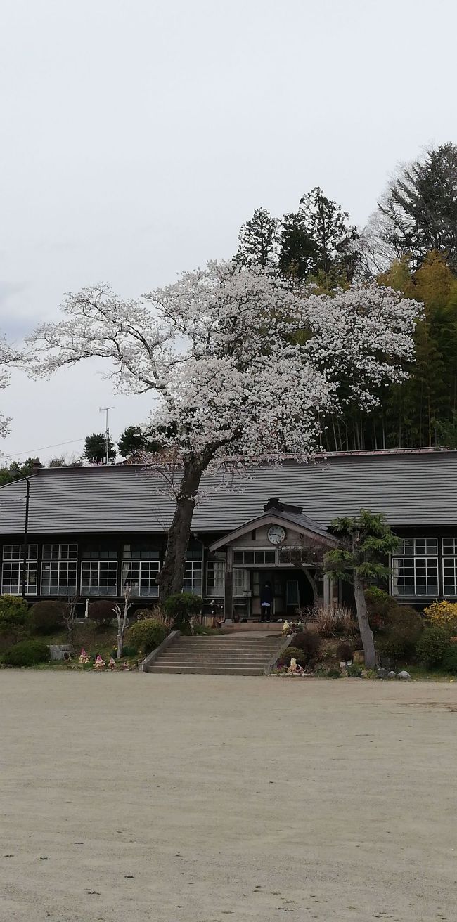 久しぶりに大子<br /><br />目標は旧上岡小学校と桜のコラボの写真が撮りたいっした。<br /><br />本日は常磐道を那珂ICで降りて、城里町経由で行ったら道中も桜がポコポコみられてラッキーだった。<br /><br />大子はいまがみごろ、竜ヶ峰は半分位散ってしまってた<br /><br />本日のコース<br />竜ヶ峰(土浦)、大子