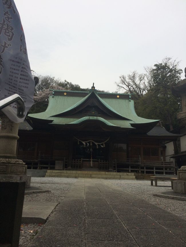 大倉山から菊名まで散歩がてら御朱印巡り<br /><br />まずは駅近くのゆるりの鶏白湯そばで<br />腹ごしらえ。雑誌に紹介されてるのは伊達じゃなく鷄の旨味たっぷりのラーメン<br /><br />腹ごしらえが終わるとまずは15分ほど歩き、師岡熊野神社へ<br /><br />神社のまわりは自然が多く街の近くにある癒される空間<br /><br />社紋が八咫烏であることからサッカーファンの聖地として有名だが、光孝天皇の勅願所だった由緒ある神社<br /><br />江戸時代の豪農だった横溝家の民家に立ち寄り藁葺き屋根の昔ながらの古民家で一休み<br /><br />坂道を超えて最後は菊名神社に参拝し、散歩終了<br />