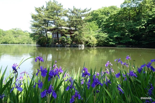 「石神井公園ふるさと文化館・分館」を初見学した後に、石神井公園や周辺の神社仏閣を散歩しました。<br />