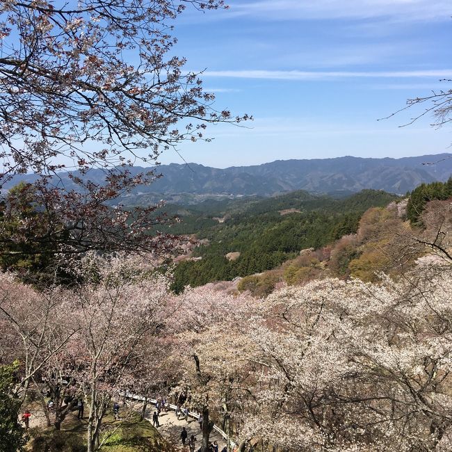 吉野の桜を観に三宮からのバスツアーに参加。桜を観に行ったのでほとんどが桜の写真です