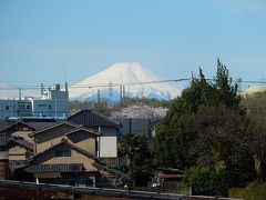 素晴らしかった富士山