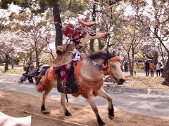 柳川～桜と北原白秋と流鏑馬～