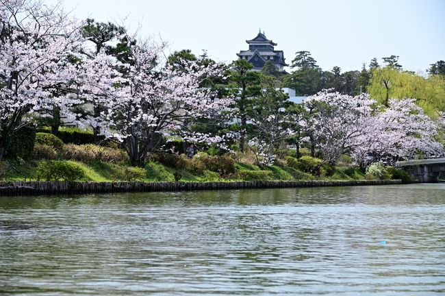 2019年、さくらの名所を巡る旅・第1弾!<br />今回は3泊4日の日程で、中国・近畿地方の気になる桜スポットを訪ねてみることとし、最初に訪れたのは、江戸時代に隠岐・出雲国24万石を治めた松江藩の城下町・松江。<br /><br />まずは国宝に指定された「松江城」の天守へ登閣(Part.1)。<br />引き続き、桜が彩る城跡内のスポットやお城北側の「塩見縄手」を散策し、さらに、松江城を囲むように残るお堀を小船で巡る「ぐるっと堀川めぐり」の遊覧船に乗船♪<br />松江城と並びこちらも松江観光の定番ですが、さて桜の季節に眺める景色はさてどんなものでしょうか。。。<br /><br /><br />〔2019さくらの名所を巡る旅 アウトライン〕<br />●Part.1(1日目①):松江城/松江城山公園(日本100名城/さくら名所100選)<br /> https://4travel.jp/travelogue/11478799<br />●Part.2(1日目②):松江城下町(堀川めぐり)【この旅行記】<br />●Part.3(2日目①):津山城/鶴山公園(日本100名城/さくら名所100選)<br /> https://4travel.jp/travelogue/11484252<br />●Part.4(2日目②):中山神社(美作国一之宮)/城東(重伝建地区)<br /> https://4travel.jp/travelogue/11491168<br />●Part.5(3日目①):姫路城①(日本100名城/さくら名所100選)<br /> https://4travel.jp/travelogue/11593194<br />●Part.6(3日目②):姫路城②(日本100名城/さくら名所100選)<br /> https://4travel.jp/travelogue/11601496<br />●Part.7(4日目①):大和郡山城(続日本100名城/さくら名所100選)<br /> https://4travel.jp/travelogue/11613989<br />●Part.8(4日目②):奈良公園(さくら名所100選)<br /> https://4travel.jp/travelogue/11615907<br />●Part.9(4日目③):大神神社(大和国一之宮)<br /> https://4travel.jp/travelogue/11618583