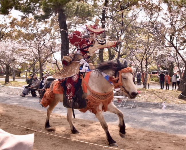 桜をバックに流鏑馬が見られるという事で、柳川に行ってきました。北原白秋資料館にも行きました。日帰りです。