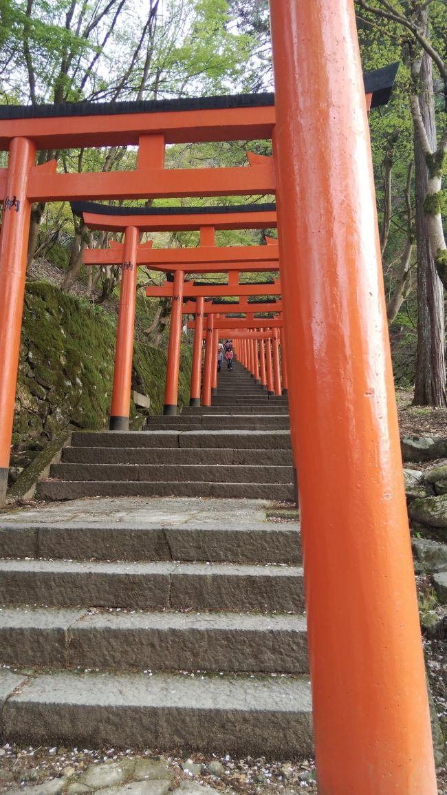 一之宮参拝　出石神社と但馬五社