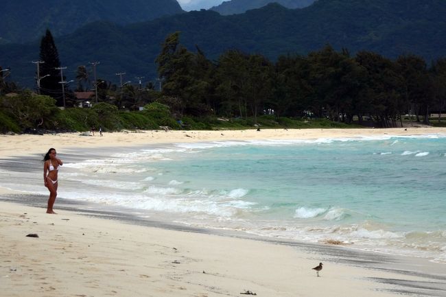 ハナウマ湾展望台からの眺望を楽しんだ後は、ミニバンで約１．８マイル（約２．９ｋｍ）離れたハロナ潮吹き岩展望台に向かいます。<br /><br />結構強い風が吹いていて、波もそれなりにありましたが、期待していたほど飛沫は上がらず、どれがハロナ潮吹き岩なのか、今一つ分かりませんでした。