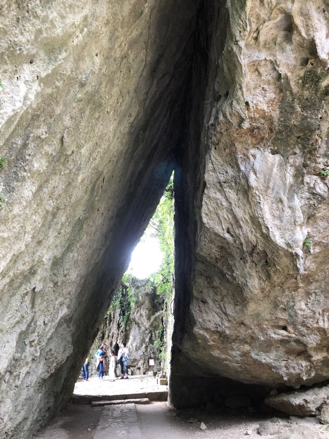 子供2人を連れて沖縄旅行へ行ってきました。このガンガラの谷は港川人が発掘されたところでとても興味深い場所でした。