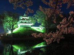 ’１９　信州 桜＆城めぐり３　日本三大夜桜 高田城百万人観桜会