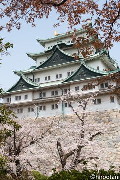 2019年　東海の桜めぐり　【９】名古屋城の桜