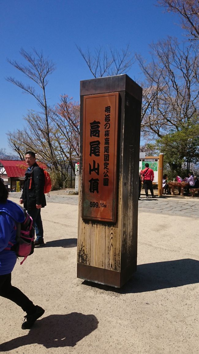 　今週も天気が良いので高尾山へ登りました。先週は、富士山を見ることができなかったので、再チャレンジです。今回は、晴天の中、大きな富士山を拝むことができました。今回は、６号路で登山しました。