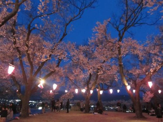 ’１９　信州 桜＆城めぐり７　伊那市 うしおのローメン＆春日公園の桜ライトアップ