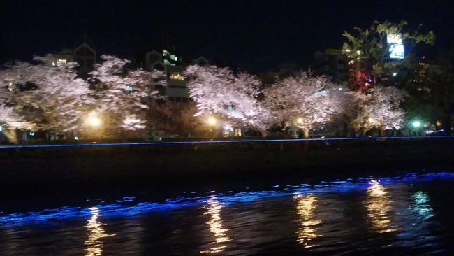 陸から川から、大阪の桜満喫ツアー