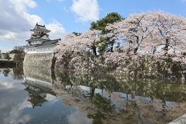 北陸８名城のさくら（３）・・富山城址公園と高岡古城公園を訪ねます。