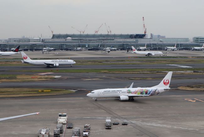 今回の旅行は、東京トラピックス主催の「桜で繋ぐ北陸８名城の旅２日間」に参加しました。日程は以下の通りです。<br /><br />４月８日（月）<br /><br />「羽田エクセルホテル東急」に前泊<br />14:00；チェックイン、羽田空港国内線ターミナル散策<br /><br />４月９日（火）<br /><br />6:55；第１ターミナル2階 北ウィング集合<br />7:45；JAL183便で小松空港へ<br />１、安宅関跡<br />２、芦城公園（小松城三の丸跡）<br />３、富山城址公園（続日本100名城）<br />４、高岡古城公園（日本100名城、さくら名所100選）<br />５、金沢城公園（日本100名城）<br />加賀温泉郷山中温泉「お祝いの宿」に宿泊<br /><br />４月１０日（水）<br /><br />１、霞ヶ城公園（丸岡城）（日本100名城、さくら名所100選）<br />２、福井城址（続日本100名城）<br />３、一乗谷朝倉氏遺跡（日本100名城）<br />４、越前大野城（続日本100名城）<br />17:35；JAL190便で羽田空港へ