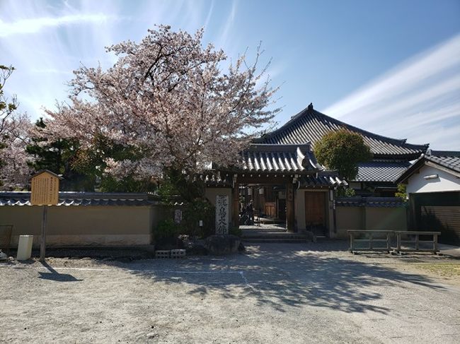 小学校以来のとき、オリエンテーリングで巡った以来の飛鳥。<br />大人になって来たのは始めてで、かなりうれしい。<br />バス移動だったので、あまりあっちこっちに行けなかったけれどかなり満足な1日になった。<br />次回は、今回いけなかったところも回ってみたい。<br />非常に魅力的な所だった。<br />桜もまだまだきれいに咲いていたというのも、ポイントが高かったのかもね。