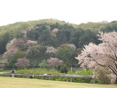 桜と世界遺産と蕎麦