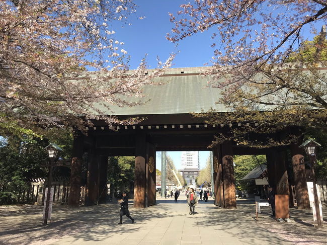 千鳥ヶ淵・靖国神社の桜＆和牛焼肉/金の蔵 with 台湾の友人夫婦 2019/04/09<br /><br />昼食は、オランダ人の友人が和牛焼肉を食べたいと言うので、安楽亭八王子南口店に行きました。妻とオランダ人夫婦は和牛のロース、私は和牛のカルビを注文しました。ライス、コムタンスープ、キムチ、フリードリンクを付けました。友人達は美味しいと喜んでいました。<br />普段食べに行く時は、普通の焼肉ランチを注文しています。<br /><br />食事の後、千鳥ヶ淵の桜を見に行きました。3月28日に行った時は満開の一歩手前でしたが、今回は、最盛期を過ぎは桜になっているのもありましたが、十分に桜を楽しむことが出来ました。<br /><br />千鳥ヶ淵の桜を見た後は、靖国神社に行きました。靖国神社は50年ぶりに来ました。拝殿は、近くから正面の撮影は禁止されており、撮影者は注意されていました。<br /><br />夕食は金の蔵：八王子でとりました。<br />アルコールは、飲み放題を選択し、冷奴、冷やしトマト、枝豆、茄子の浅漬け、ソーセージ、フライドポテト、つくね、うずらの焼き物、セロリ漬け、サーモン、チーズを注文しました。<br />つくねは美味しかったので、再度注文しましたが、友人の全体の評価は高くはなかったですね。