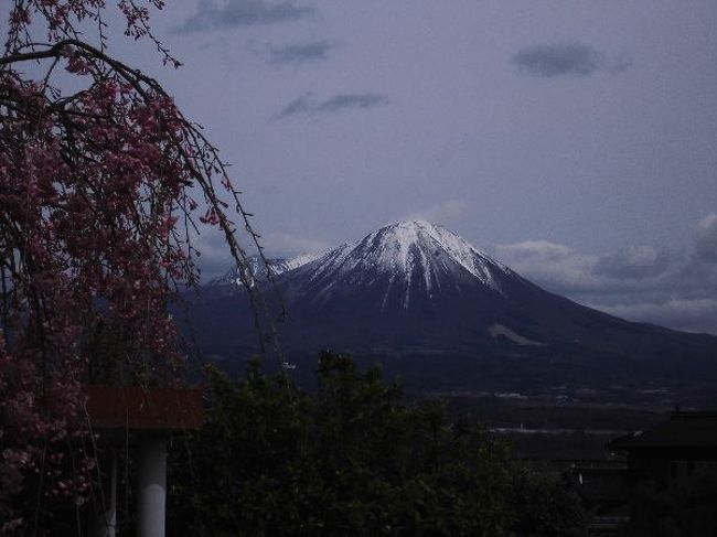 「出雲街道」も鳥取県に突入し、最終行程に入ってきた。<br />雄大な大山を望みながらの旧街道歩きに、満開の桜が歓迎してくれる。<br /><br />　http://ks5224.fc2web.com/iz06hp/iz06-1.html