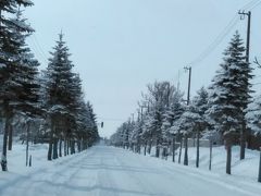 2019年今年も懲りずに桜を求めて本州に上陸します　( ﾟ∀ﾟ)ｱﾊ