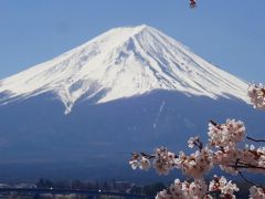平成最後のーー満開の桜と富士と湖とーーー。