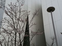 花のお江戸は曇り空