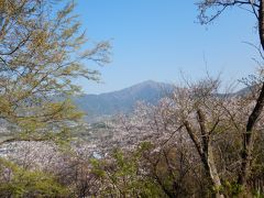 神奈川散歩 ～2019年4月 弘法山から大山へ～