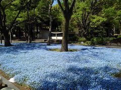 東京・日比谷公園