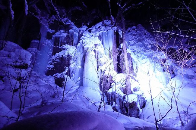 去年の函館に続き<br />今年も雪が積もっている所へ<br /><br />どうせなら一番寒い時期にと思い<br />２月に青森、奥入瀬へ行ってきました<br /><br />伊丹～青森空港～ＪＲ青森駅<br />青森駅周辺探索<br />奥入瀬渓流ホテルへ