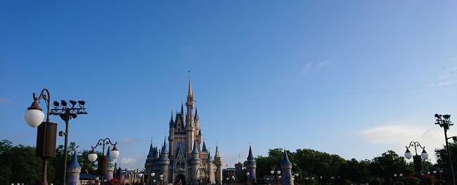 新婚旅行で、憧れのウォルトディズニーワールド（ＷＤＷ）へ行ってきました。<br />本当はもっと早く行く予定でしたが、そこはさすが世界のディズニー。<br />全然予約が取れなく、今回少し遅めの新婚旅行となりました。<br /><br /><br />