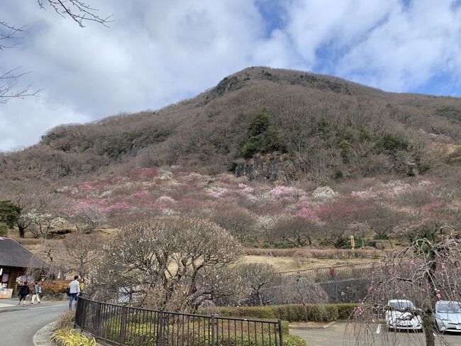 神奈川県南西部、足柄下郡湯河原町の湯河原温泉を訪れました。万葉集にも詠まれているほど歴史があり、明治以降には多くの文豪たちが訪れていたほど良質な温泉で知られています。初春に花を咲かせる湯河原梅林も有名です。<br /><br />★2018年５月の訪問<br />・泉質にこだわる自家源泉の湯宿に泊まり、歴史と風情ある湯河原の町を散策。<br /><br />★2021年2月の訪問<br />・湯河原で最も古い温泉街の老舗旅館に泊まり、梅が咲き始めた幕山公園の湯河原梅林へ。<br /><br />[いただいた郷土料理/ご当地グルメ]<br />◎湯河原みかん