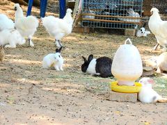 バンコク郊外