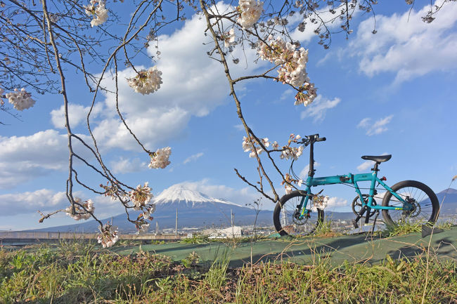 桜が咲く潤井川沿いを自転車で走りました。<br /><br />★富士市役所のHPです。<br />http://www.city.fuji.shizuoka.jp/