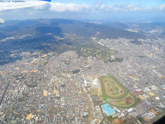 ○●4月15日  大阪伊丹空港－阿蘇くまもと空港（空港リムジンバス）－熊本交通センター（快速あまくさ号）－二号橋（上天草市）（徒歩）－二号橋－三号橋－四号橋－五号橋－松島　天草五橋めぐり遊覧船（パールライン観光）－前島－リゾラテラス天草－ホテル松泉閣 ろまん館　泊<br />●4月16日  ホテル松泉閣 ろまん館　前島（快速あまくさ号）－道の駅 上天草さんぱーる（徒歩）－江樋戸港（湯島商船）－湯島　湯島を１日徘徊　湯島（湯島商船）－江樋戸港　（徒歩）－ホテル 松竜園海星　泊　<br />●4月17日  ホテル 松竜園海星（ホテル送迎バス）－道の駅 上天草さんぱーる（路線バス）－三角産交－三角港（定期船）－小屋川内港－嵐口港－御所浦港－横浦港－与一ヶ浦港－棚底港-　棚底地区徘徊　 棚底港－御所浦港　御所浦地区徘徊　御所浦港－本渡港（徒歩）－天草プラザホテル　泊<br />●4月18日 天草プラザホテル　本渡バスセンター（路線バス）－通詞島　通詞島徘徊　通詞島（徒歩）－天草漁業協同組合五和支所　イルカウォッチング　二江漁協（路線バス）－本渡バスセンター（天草市）（快速あまくさ号）－熊本交通センター－阿蘇くまもと空港－大阪伊丹空港