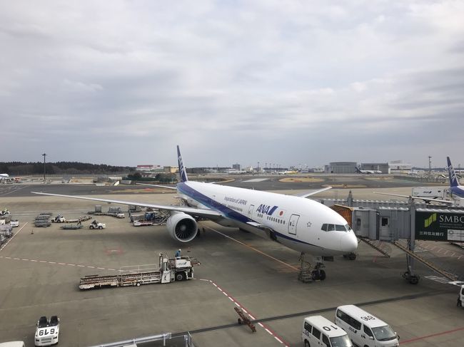 ANA特典航空券を利用して、ニューヨークに行きました。<br />昨年8月から燃油サーチャージが上がることとなり、7月末にバタバタ取ってしまったニューヨークへのビジネスクラスチケット。<br /><br />ツアーじゃない完全個人手配。自分大丈夫なのか・・・・と思いつつ、先なので放置してしまいました。<br /><br />その後LAやサイパンに行く予定になり、あまり調べることもなく<br />フォートラベルの皆さんの旅行記を読むことぐらいで、手配もせず。<br /><br />一応ホテルは早く予約しておいたけれど、HISの初夢フェアでフォートラベルのニューヨークホテル口コミ1位になってたニューヨークヒルトンミッドタウン(リゾートフィー免除)を見つけて、そっちに変更。<br /><br />航空券とホテルだけとって、初めてのニューヨークなのにかなり段取りの悪いゆるーい旅行となってしまいました。<br /><br />無事行ってこれたので、良い思い出となりました。<br /><br />この旅行記は↓から<br />5日目<br /><br />早朝からホテルのシャトルバスで送迎してもらい、JFKの7タミよりANAビジネスクラスで帰国しました。<br />早く空港につきすぎたので、BAのファーストラウンジでまったりネットを楽しみました。