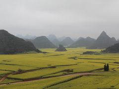 羅平・元陽・石林雲南省感動絶景巡り(4日目・5日目羅平の菜の花畑）