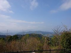 三週間連続高尾山へ登山へ行きました。