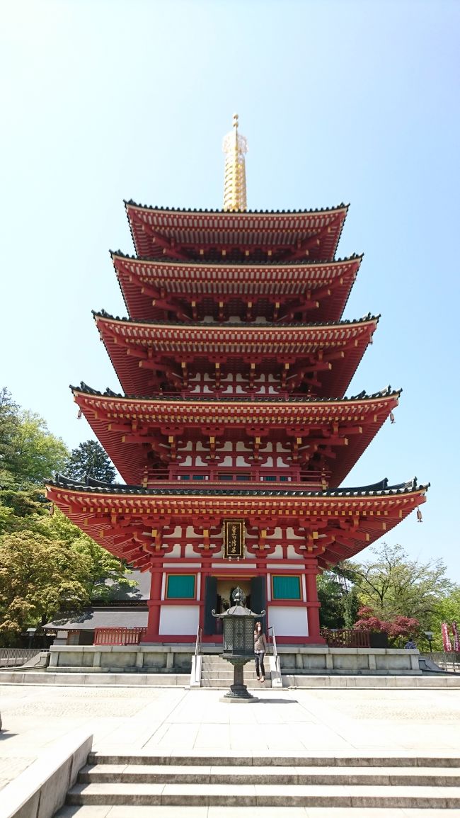 高尾山を満喫し時間も早いので、京王線を途中下車、高幡不動尊へお参りに行ってきました。