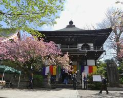 長禅寺・三世堂（取手のさざえ堂）_2019_１年に１度だけ公開されます。（茨城県・取手市）