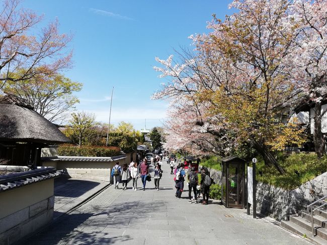 2日目、まずは結婚式に参列（これが一番の目的）。<br />披露宴のあとは、東山を散策してから、東福寺。<br />伏見稲荷にも足を伸ばし、最後は再び錦市場へ。<br /><br />桜満開の京都を堪能しました。