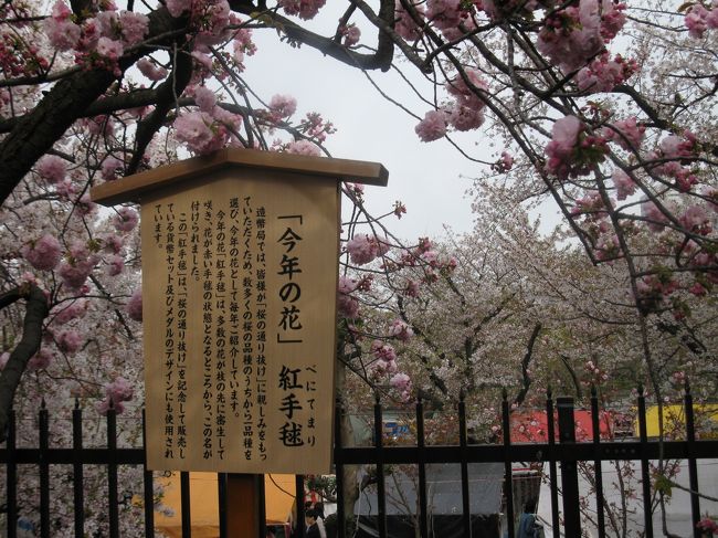 　毎年恒例の大阪・造幣局の桜の通り抜けに行って来ました。公開は４月９日～16日まででした。今年は直前に寒の戻りがあったため、公開期間中は５分～６分咲で終わってしまいました。また唯一の日曜日の天気予報が雨だったので、前日の土曜日はとてつもない人出でした。<br /><br />　2010年に一度さくらの通り抜けの旅行記を投稿しています。そちらもい見ていただけるとうれしいです。<br />　https://4travel.jp/travelogue/10466231<br />　こちらの方が晴れていて桜も満開です。<br /><br />この旅行記では<br /><br />〇　造幣局の桜の通り抜けの様子<br /><br />　をご紹介しています。桜の品種のコメントは造幣局のHPを参考にしました。https://www.mint.go.jp/