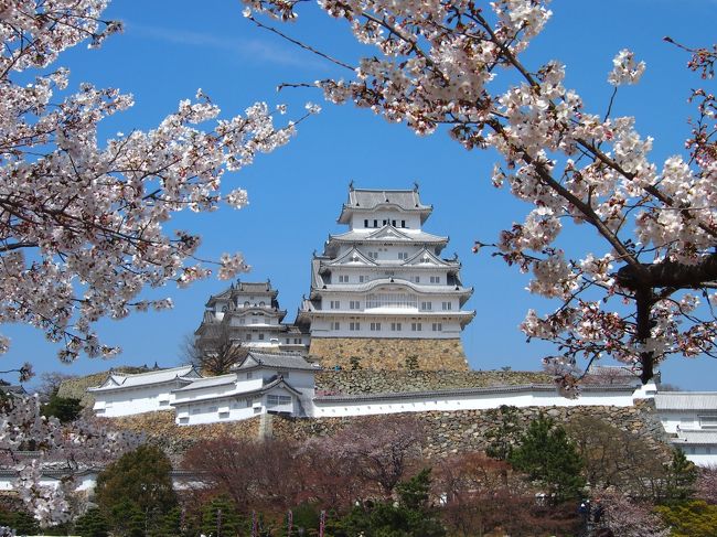 最近京都などの桜を見るのが定番になってる私の春の青春１８きっぷ旅で、今年は姫路城の桜も見てみたいな！と思い急きょ計画を立て、青春１８きっぷの旅をするために急いでホテルを予約し、４月４日から５泊６日で今回の主な目的地、姫路と京都へ桜を見に出かけてきました。<br /><br />４月５日、２日目は姫路で春の姫路城を昼夜楽しもうと、ホテルは２泊分取りましたので、この日は電車での移動などはありません。<br /><br />桜の季節に初めて行き、桜は５分～６分咲きで１部見頃でしたが、大好きな姫路城と桜のコラボが見られて満足です。<br />こちらは昼間に見た様子ですが、よければご覧になって下さい＾＾<br /><br /><br />