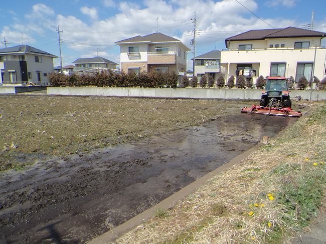 4月4日<br /><br />この近くで桜の名所があるけど硬い蕾、折角なので開くまでゆっくりしてくと良いよ（＾＾）<br />そんな言葉に甘えながら・・少しでも偵察するべく2人でお散歩に出かけます。<br />息子の家の周りは田んぼ・自然が一杯です(^^♪<br /><br />4月6日<br />少しづつ気持ちが焦ります。<br />nimameも暇なようで予定も入っている。<br />毎日地図とニラメッコしてます。<br />何処を目指すか・それすらも決まっていない！！<br />それでも7日にここを出発しよう・<br />とりあえず北を目指そう～<br />そんな事で6日は桜の名所にお出かけします♪