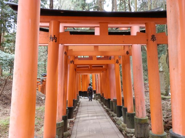 　私が住む市内で一番古く中心の神社が稲荷神社である。「お稲荷さん」とは言わず「箭弓（やきゅう）さん」と呼ぶ。私にとって、もっとも身近な神社といえる「お稲荷さん」。全国に30,000社あるといわれ、その総本宮が伏見稲荷大社である。<br /><br />　稲荷信仰の原点が、稲荷山。御祭神である稲荷大神様がこのお山に御鎮座されたのは、奈良時代の和銅4年（711）2月初午の日のこと。その日から数えて、平成23年（2011）に御鎮座1300年を迎えた、という。<br /><br />　2019年1月4日京都総本宮詣りに来たが時間がなく、稲荷信仰の原点と言われる、稲荷山の最高峰　標高233ｍの一ノ峰（上社神蹟）にお詣り出来ず、心残りであった。<br />　伏見稲荷大社の境内の稲荷山に、かつて稲荷神を含めた神々が降臨したとされる場所がありました。その場所は「神蹟（しんせき）」と呼ばれる場所で、6つの神蹟めぐりをしました。