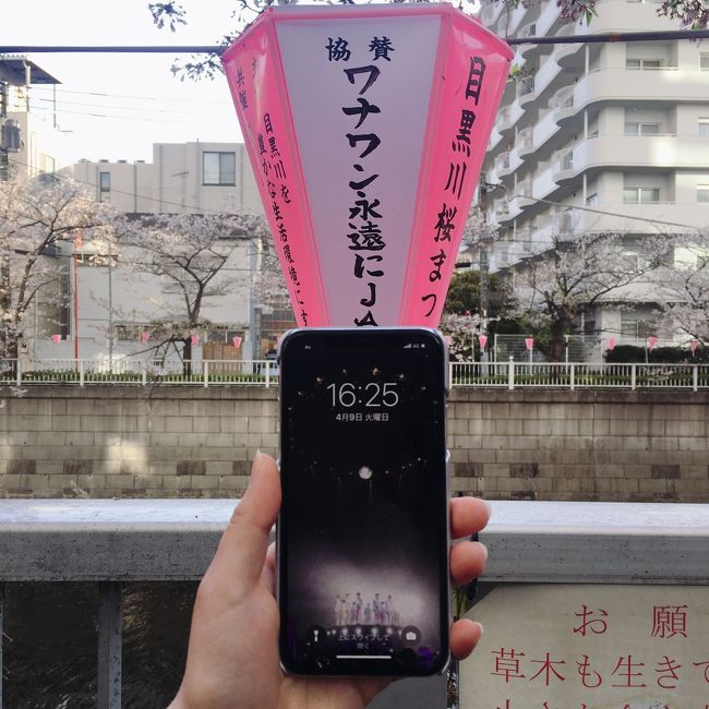 WANNAーONE<br /><br />1月27日の解散から<br />ロスが続く中・・・・<br /><br />個人活動が始まったメンバーは<br />日本でのペンミも<br />どんどん始まり・・・<br /><br />やっとパク・ジフンのペンミのチケットをゲット!<br /><br />昨年の香港以来・・・<br />生ジフンです!!